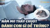 Ngủ mơ thấy chuột đánh cho gì? Điềm báo chiêm bao thấy chuột tốt hay xấu