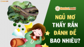 Ngủ mơ thấy rắn đánh đề bao nhiêu? Giải mộng giấc mơ thấy rắn