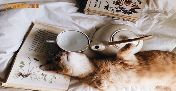 Xem tử vi 12 con giáp ngày 31.8.2019 thứ 7 Xem tử vi 12 con giáp ngày 31.8.2019 thứ 7