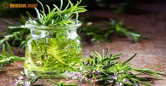 Tử vi thứ năm của 12 con giáp ngày 15/8/2019