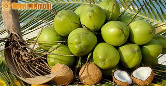 Giải mã ý nghĩa giấc mơ thấy trái cây báo hiệu điềm gì?