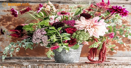 Tử vi thứ tư của 12 con giáp ngày 16/10/2019