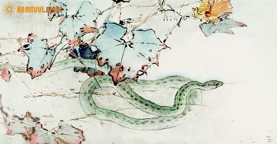  Bói tử vi tuổi Tỵ nam mạng và nữ mạng năm 2020