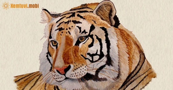 Xem tử vi 2020 tuổi Dần nam mạng và nữ mạng