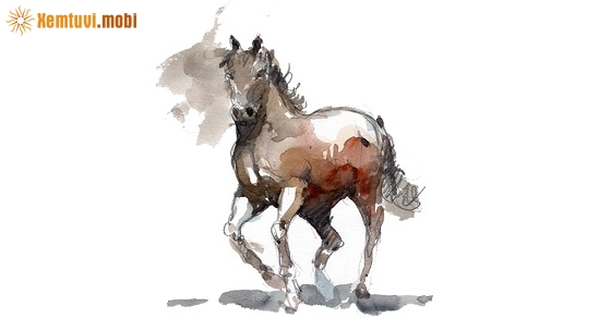 Bói tử vi tuổi Nhâm Ngọ nữ mạng và nam mạng năm 2020