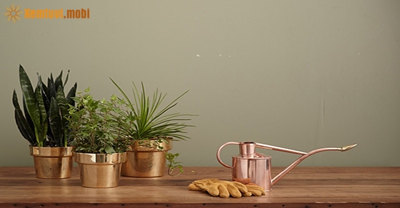 Tử vi thứ năm của 12 con giáp ngày 19/12/2019 Tử vi thứ năm của 12 con giáp ngày 19/12/2019