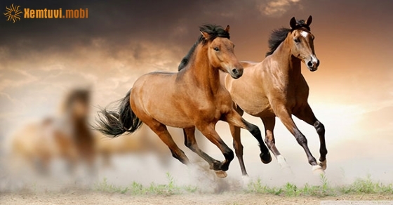 Xem giờ tốt, hướng xuất hành đầu năm Canh Tý 2020 cho tuổi Giáp Ngọ