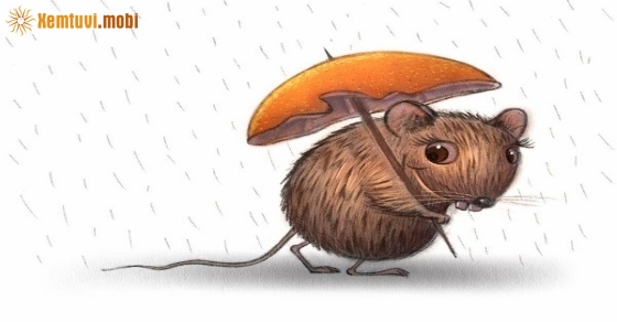 Xem giờ tốt, hướng xuất hành đầu năm Canh Tý 2020 cho tuổi Nhâm Tý