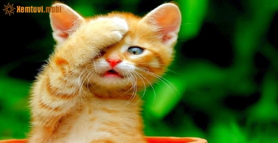 Xem giờ tốt, hướng xuất hành đầu năm Canh Tý 2020 cho tuổi Ất Mão