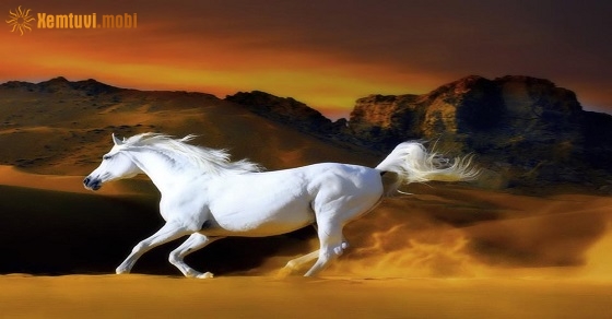 Xem giờ tốt, hướng xuất hành đầu năm Canh Tý 2020 cho tuổi Canh Ngọ