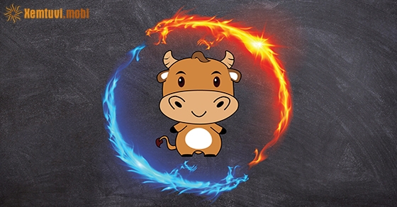 Xem giờ tốt, hướng xuất hành đầu năm Canh Tý 2020 cho tuổi Đinh Sửu