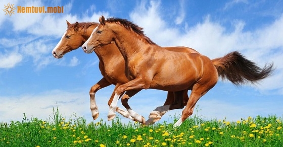 Xem giờ tốt, hướng xuất hành đầu năm Canh Tý 2020 cho tuổi Mậu Ngọ Xem giờ tốt, hướng xuất hành đầu năm Canh Tý 2020 cho tuổi Mậu Ngọ