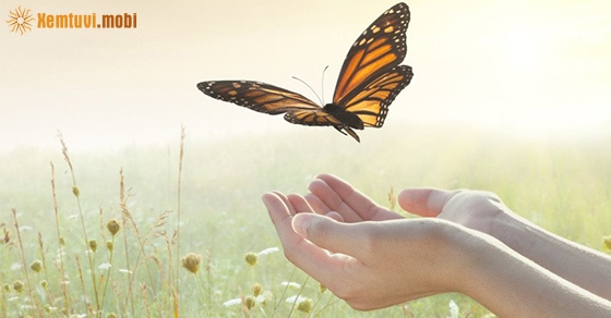 Biết buông bỏ bạn sẽ hạnh phúc