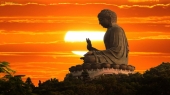 Lời Phật dạy về nhân quả báo ứng - Gieo nhân nào gặt quả nấy