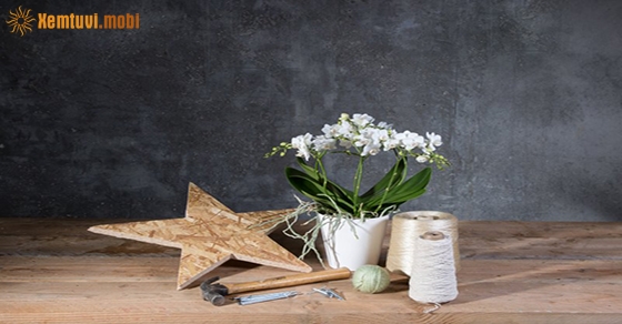 Tử vi thứ ba của 12 con giáp ngày 31/12/2019 Tử vi thứ ba của 12 con giáp ngày 31/12/2019