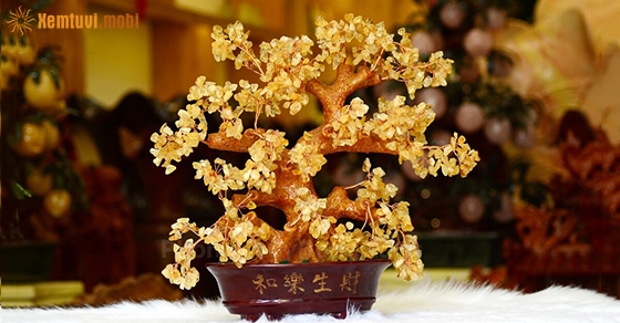 Xem tử vi ngày 30-1-2020 thứ 5