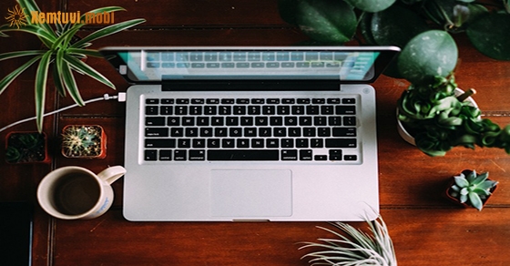 Tử vi thứ tư của 12 con giáp ngày 22/1/2020