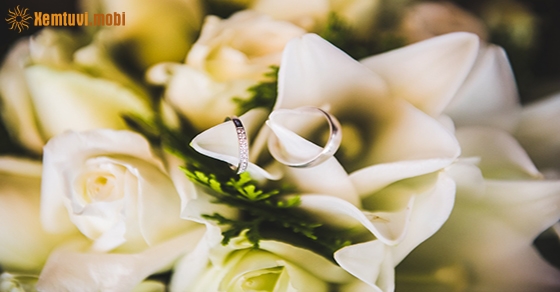 Xem tử vi ngày 29-1-2020 thứ 4 Xem tử vi ngày 29-1-2020 thứ 4