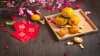 Tử vi tuần mới của 12 con giáp từ ngày 27/1 đến 2/2/2020 Tử vi tuần mới của 12 con giáp từ ngày 27/1 đến 2/2/2020