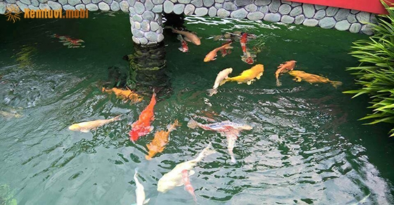 Ngủ mơ thấy hồ nước là điềm lành hay dữ?