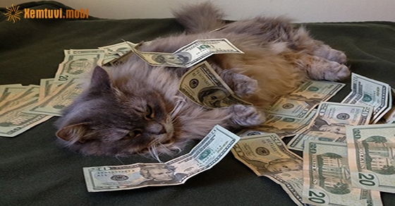 Xem tử vi 12 con giáp ngày 3.3.2020 thứ 3 Xem tử vi 12 con giáp ngày 3.3.2020 thứ 3