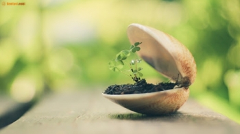 Xem bói tử vi thứ 3 ngày 25/2/2020 của 12 cung hoàng đạo Xem bói tử vi thứ 3 ngày 25/2/2020 của 12 cung hoàng đạo