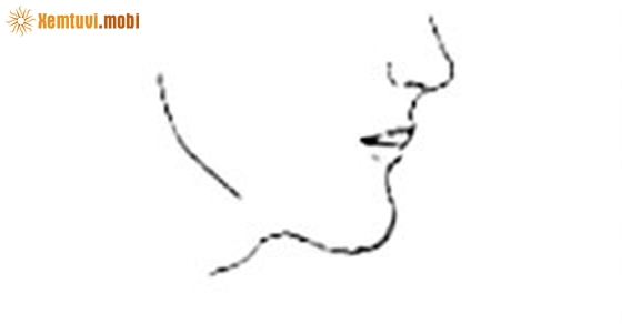 Xem tướng cằm nhô ra Xem tướng cằm nhô ra