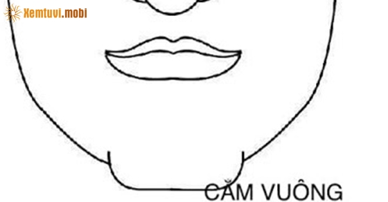 Xem tướng cằm vuông Xem tướng cằm vuông