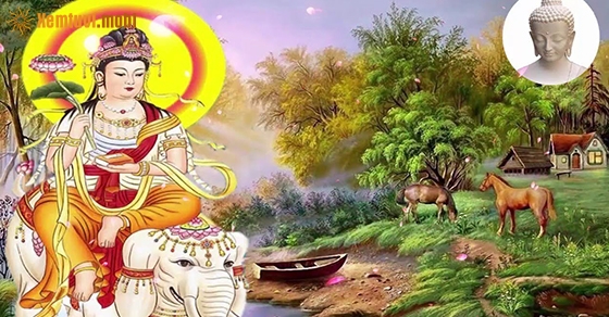 Hạnh nguyện của các vị Bồ Tát Hạnh nguyện của các vị Bồ Tát