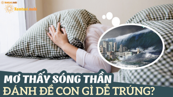 Mơ thấy sóng thần đánh số mấy? Giải mã chiêm bao thấy sóng thần là điềm gì? Mơ thấy sóng thần đánh số mấy? Giải mã chiêm bao thấy sóng thần là điềm gì?