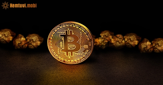 Xem tử vi ngày 24-4-2020 thứ 6 Xem tử vi ngày 24-4-2020 thứ 6