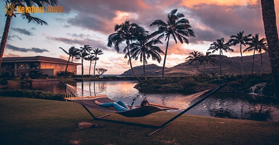 Tử vi chủ nhật của 12 con giáp ngày 10/5/2020 Tử vi chủ nhật của 12 con giáp ngày 10/5/2020