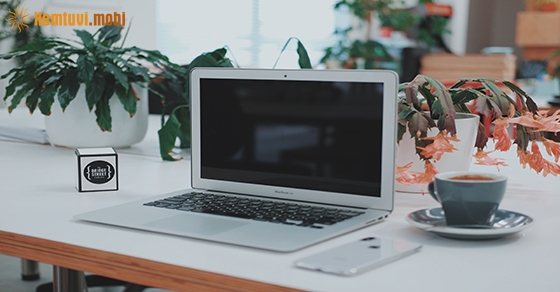 Xem tử vi 12 con giáp ngày 11.5.2020 thứ 2 Xem tử vi 12 con giáp ngày 11.5.2020 thứ 2