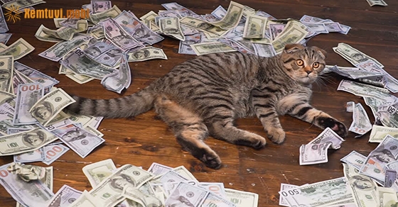 Xem tử vi ngày 5-7-2020 chủ nhật Xem tử vi ngày 5-7-2020 chủ nhật