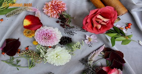 Tử vi thứ sáu của 12 con giáp ngày 12/6/2020 Tử vi thứ sáu của 12 con giáp ngày 12/6/2020