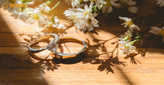 Xem tử vi 12 con giáp ngày 19.6.2020 thứ 6 Xem tử vi 12 con giáp ngày 19.6.2020 thứ 6