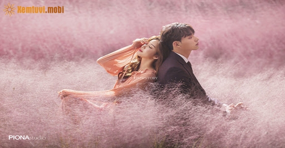 Tử vi ngày 3/7/2020 của 12 cung hoàng đạo Tử vi ngày 3/7/2020 của 12 cung hoàng đạo