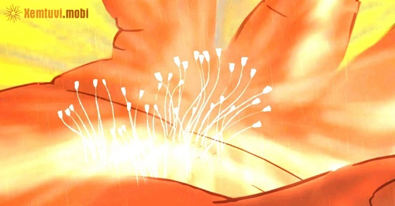 Ưu đàm hoa mang đến điềm lành, may mắn Ưu đàm hoa mang đến điềm lành, may mắn