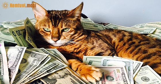 Xem tử vi ngày 12-7-2020 chủ nhật Xem tử vi ngày 12-7-2020 chủ nhật