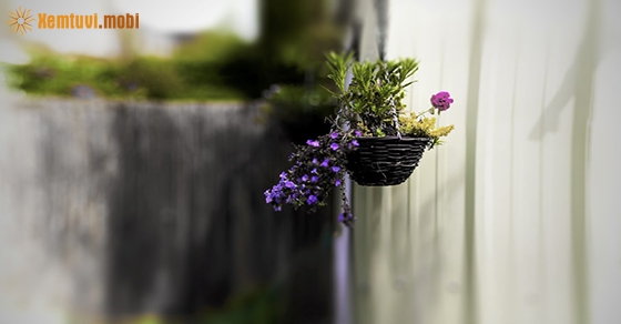 Tử vi thứ sáu của 12 con giáp ngày 7/8/2020 Tử vi thứ sáu của 12 con giáp ngày 7/8/2020