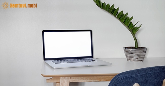 Tử vi hôm nay thứ 3 ngày 28.7.2020 của 12 cung hoàng đạo Tử vi hôm nay thứ 3 ngày 28.7.2020 của 12 cung hoàng đạo