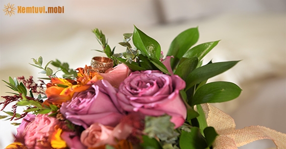 Tử vi thứ bảy của 12 con giáp ngày 29/8/2020 Tử vi thứ bảy của 12 con giáp ngày 29/8/2020