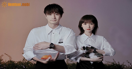 Tử vi hôm nay thứ 2 ngày 31.8.2020 của 12 cung hoàng đạo Tử vi hôm nay thứ 2 ngày 31.8.2020 của 12 cung hoàng đạo