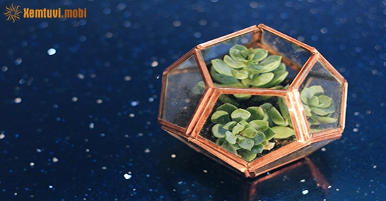 Tử vi thứ hai của 12 con giáp ngày 24/8/2020 Tử vi thứ hai của 12 con giáp ngày 24/8/2020