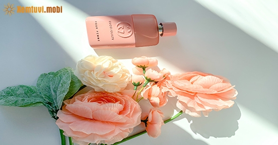 Tử vi thứ tư của 12 con giáp ngày 26/8/2020 Tử vi thứ tư của 12 con giáp ngày 26/8/2020