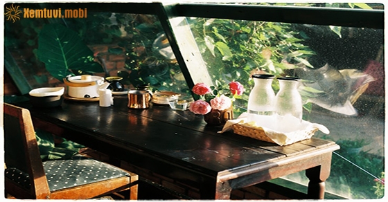 Xem tử vi ngày 20-8-2020 thứ 5 Xem tử vi ngày 20-8-2020 thứ 5