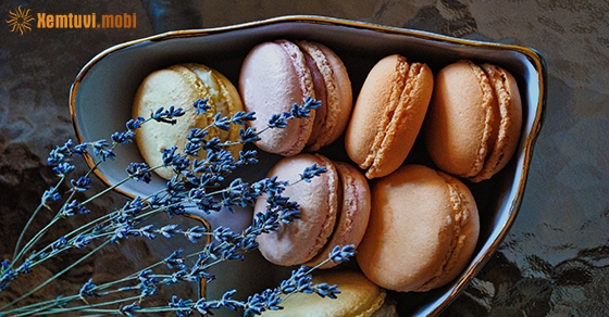 Tử vi tuần này của 12 cung hoàng đạo từ 7/9 đến 13/9/2020 Tử vi tuần này của 12 cung hoàng đạo từ 7/9 đến 13/9/2020