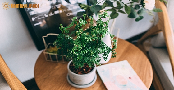 Tử vi thứ bảy của 12 con giáp ngày 12/9/2020 Tử vi thứ bảy của 12 con giáp ngày 12/9/2020