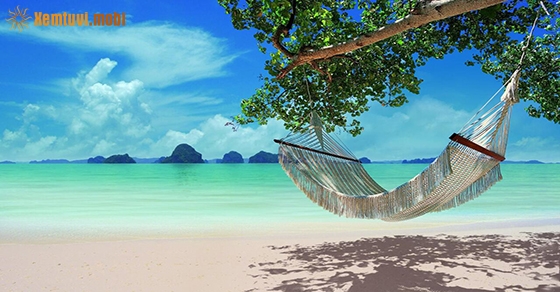 Tử vi thứ sáu của 12 con giáp ngày 18/9/2020 Tử vi thứ sáu của 12 con giáp ngày 18/9/2020