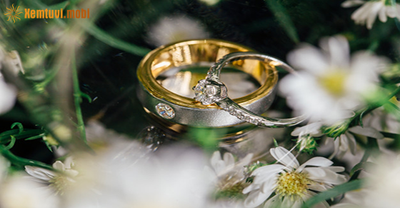 Tử vi tuần mới từ ngày 26/10 đến 1/11/2020 của 12 con giáp Tử vi tuần mới từ ngày 26/10 đến 1/11/2020 của 12 con giáp